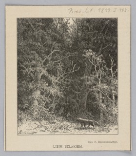On the Fox Trail; from Biesiada Literacka 1899, no. 23 June 9, p. 463. By Feliks Brzozowski