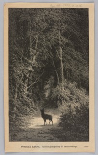 Forest; woodcut after a painting by Feliks Brzozowski 1836–1892, 1887. Depicts a forest interior