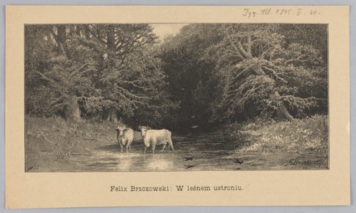 In a forest retreat; 1895; illustration after Feliks Brzozowski 1836–1892; reproduction by Angerer