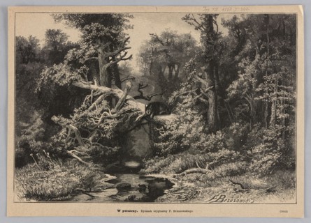 In the wilderness; 1882. Woodcut illustration after a painting by Feliks Brzozowski 1836–1892,