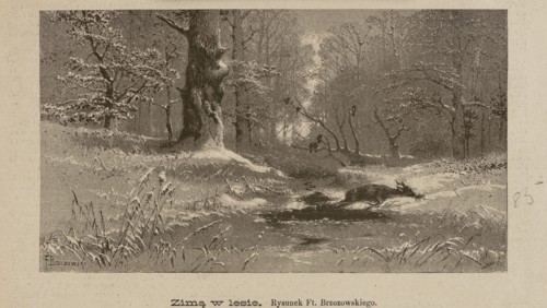 In Winter in the Forest, Feliks Brzozowski 1836–1892 illustrator/author, Lefman graphic artist,