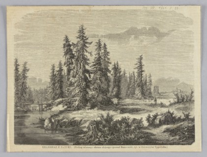Landscape from nature; 1861; woodcut illustration after a painting by Feliks Brzozowski 1836–1892,