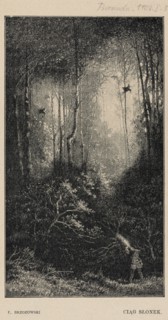 Reproduction of an engraving: Feliks Brzozowski 1836–1892, A String of Sunflowers; 1903 —
