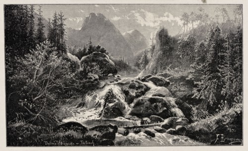 Reproduction of an engraving: Feliks Brzozowski 1836–1892, Strazyska Valley in the Tatra Mountains;