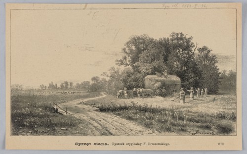 Hay equipment; illustration of haymaking in summer: rural landscape with meadows, villages, field