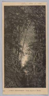 Reproduction of a drawing by Feliks Brzozowski 1836–1892, Forest Landscape; illustration showing