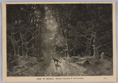 Forest in winter; 1887; illustration by Feliks Brzozowski 1836–1892; reproduction of a painting;