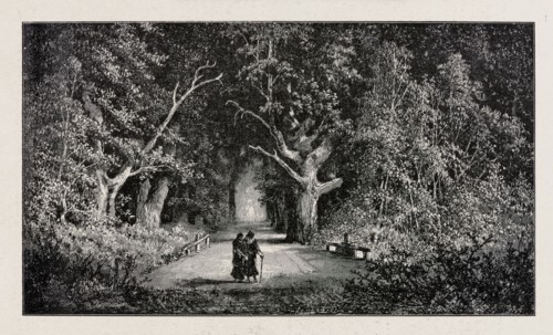 Under the old linden trees; from Biesiada Literacka 1901, no. 26 28 June, p. 528. Illustrator: