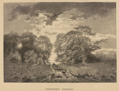 Overgrown pasture; illustration by Feliks Brzozowski 1836–1892, 1892. Pastoral landscape depicting