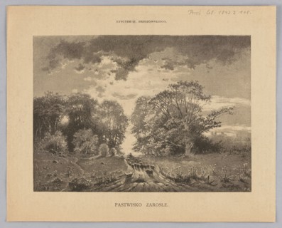 Overgrown pasture; illustration by Feliks Brzozowski 1836–1892, 1892; landscape—pastoral country