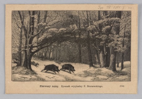 First snow; woodcut illustration after Feliks Brzozowski by Julia Krajewska, 1885. Depicts wild