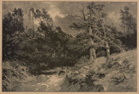 After the storm; 1886; illustration for Klosy; forest landscape showing landscapes during a storm;