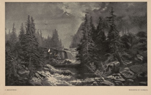 Reproduction of a painting: Feliks Brzozowski 1836–1892, Waterfall in the Tatra Mountains;
