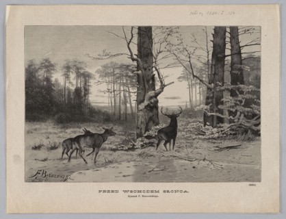 Before sunrise; Brzozowski, Feliks 1836–1892 draughtsman/author; Malinowski, Aleksander 1855–1917