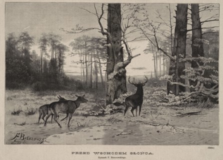 Before sunrise; woodcut illustration for the magazine Klosy, 1882. Artist: Feliks Brzozowski