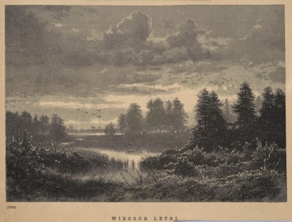 Summer Evening; Brzozowski, Feliks 1836–1892; 1885; illustration/graphic depicting birds and a