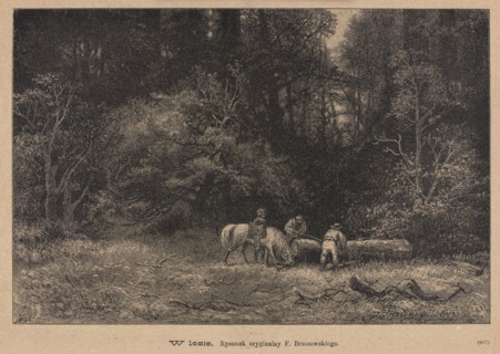 In the forest; 1885. Drawing by Feliks Brzozowski 1836–1892; reproduced by Angerer & Göschl. Press