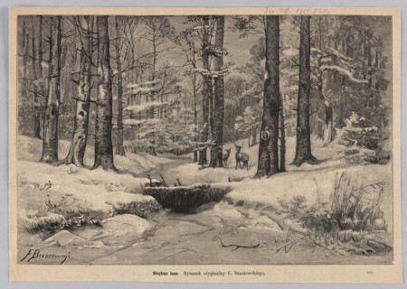 Inside the forest; 1881. Woodcut/graphic illustration by Józefa Kleczenska after Feliks Brzozowski