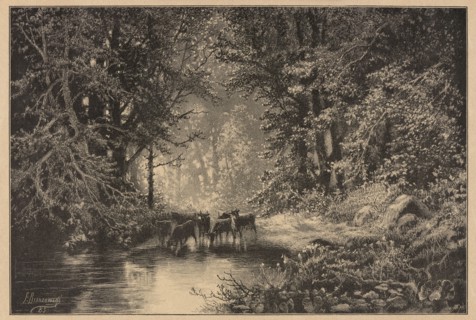 Forest spring; Brzozowski, Feliks 1836–1892 draughtsman/author; Angerer & Göschl Vienna; graphic