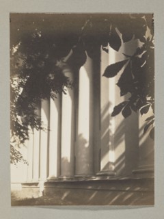 The cathedral from the castle garden; photograph, Bulhak, Jan 1876–1950, Vilnius, cathedral