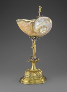 Nautilus Cup. Shell cup on a four-part profiled foot that transitions into a knobbed foot decorated