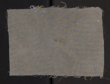 Fabric fragment, silk fragment of patterned fabric with a net composition and preserved pattern.