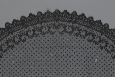 Veil, veil, lace, clothing accessory, fashion. Lace with a floral-geometric pattern running in a