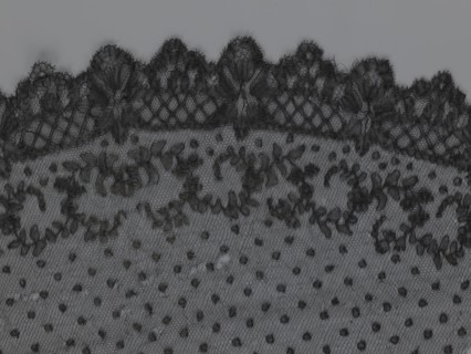 Veil, veils, lace, clothing accessories, fashion. Lace with a floral-geometric pattern running in a