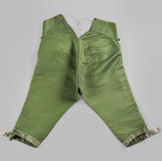 Trousers, plant motifs, floral motifs, clothing, fashion, men's clothing, 18th century clothing.