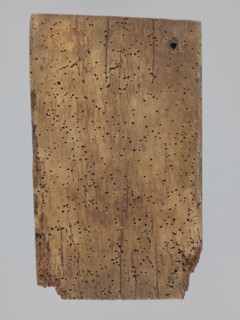 A single-sided gingerbread mold of rectangular shape with the image of a male figure in a richly