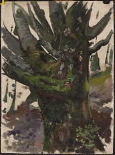 Study of a Tree, Leon Wyczólkowski 1852–1936, oil painting, study of trees/landscape, 19th/20th