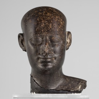 Head of a priest figurine, The head of a priest is hairless, high-domed, elongated toward the back,