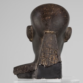 Head of a priest figurine, The head of a priest, hairless, high-domed, elongated towards the back,