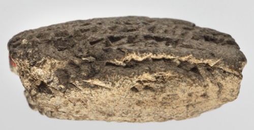 Cuneiform tablet with receipt, unknown Babylonian official role classification of creator,