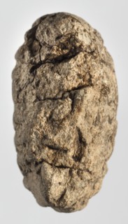 Cuneiform tablet with receipt, unknown Babylonian official role classification of creator,