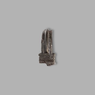 Aucissa-type fibula, Rome Empire, gift, brooch from the Black Sea region, AVCISSA-type fibula.