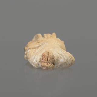 Terracotta figurine of a standing woman dressed in a chiton and himation. The body pose is in