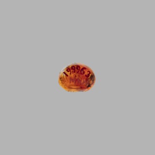 Gemma intaglio depicting an eagle standing on an altar with cornucopias at the sides; unknown Roman