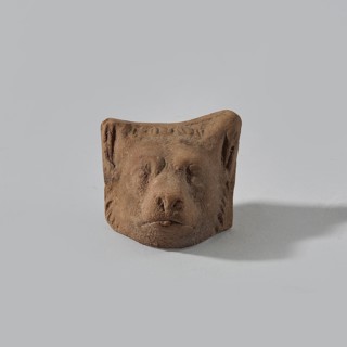 Terracotta dog head, dog's head with detailed anatomical features marked: large erect ears,