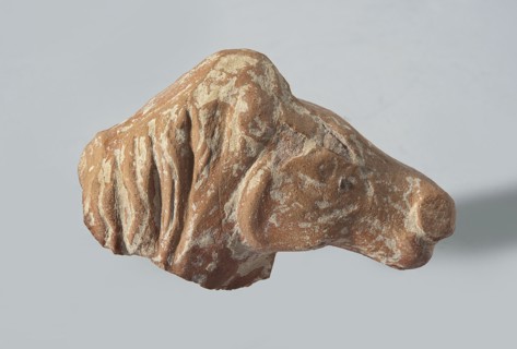 Head of a terracotta horse figurine. Terracotta. Head with part of the neck and mane of a horse;