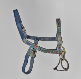 Bit, Chinese art, Chinese culture, Qing 1644–1911, cloisonné enamel, horses riding equipment,