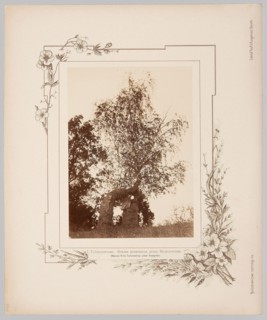 Tuhanovichi. Birch tree planted by Adam Mickiewicz. Photographic print glued onto lithographed