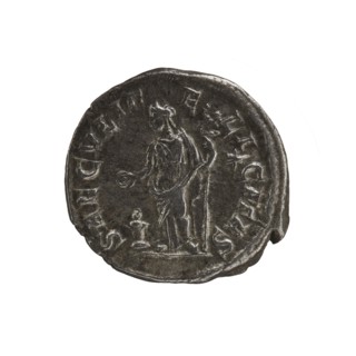 Denarius, Elagabalus Roman emperor 218–222. Obverse: IVLIA MAESA AVG — Draped bust of Julia Maesa