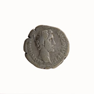 Denarius, Antoninus Pius 86–161; Roman Emperor 138–161. Obverse: Head of Antoninus Pius uncovered