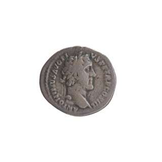 Denarius, Antoninus Pius 86–161; Roman emperor 138–161. Obverse: Head of Antoninus Pius with laurel