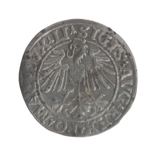 Lithuanian half-grosz, Sigismund II Augustus King of Poland; 1544–1572. Obverse: Polish Eagle; in