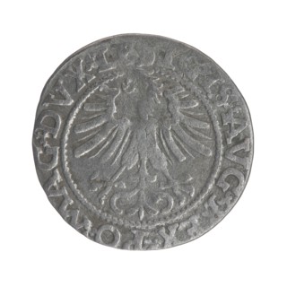 Lithuanian half-grosz, Sigismund II Augustus King of Poland; 1544–1572 author, Tarlo, Gabriel ca.