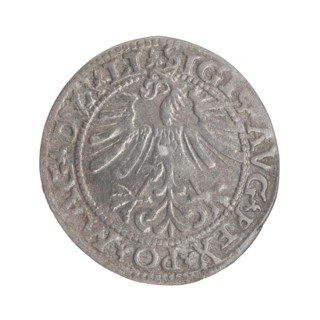 Lithuanian half-grosz, Sigismund II Augustus King of Poland; 1544–1572 ; Tarlo, Gabriel ca.