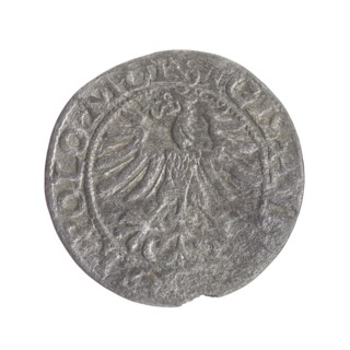 Lithuanian half-grosz, Sigismund II Augustus King of Poland; 1544–1572. Maker/co-creator: Tarlo,