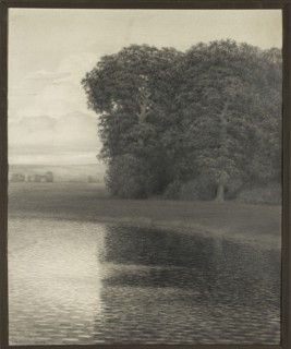 Landscape with trees by the water, Noskowski, Tadeusz 1876–1932, painter; 1913; drawing; height 75